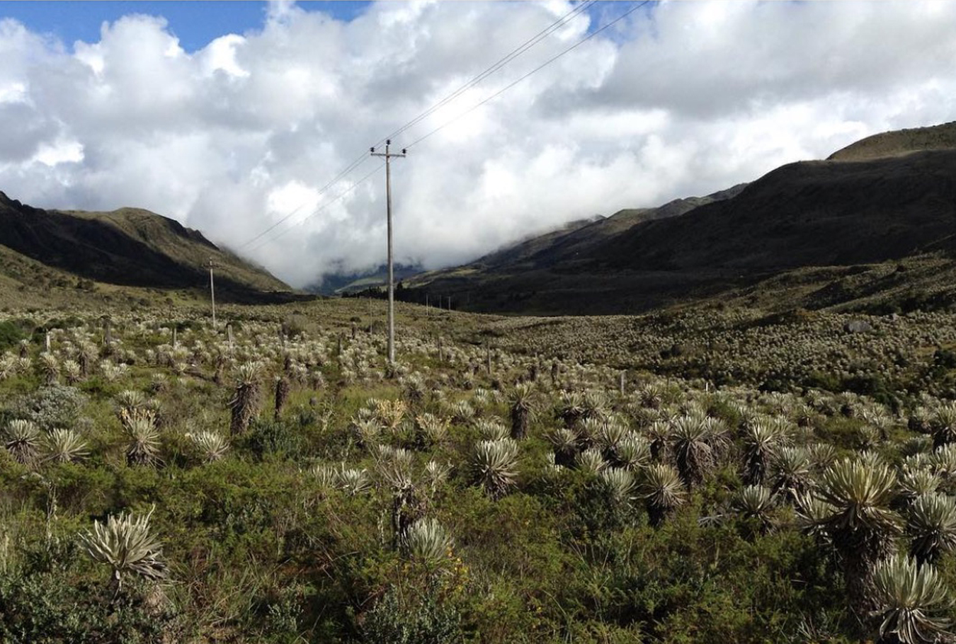 Torre de transmisión en el municipio Filandia, del proyecto Armenia entre los departamentos de Quindío y Risaralda