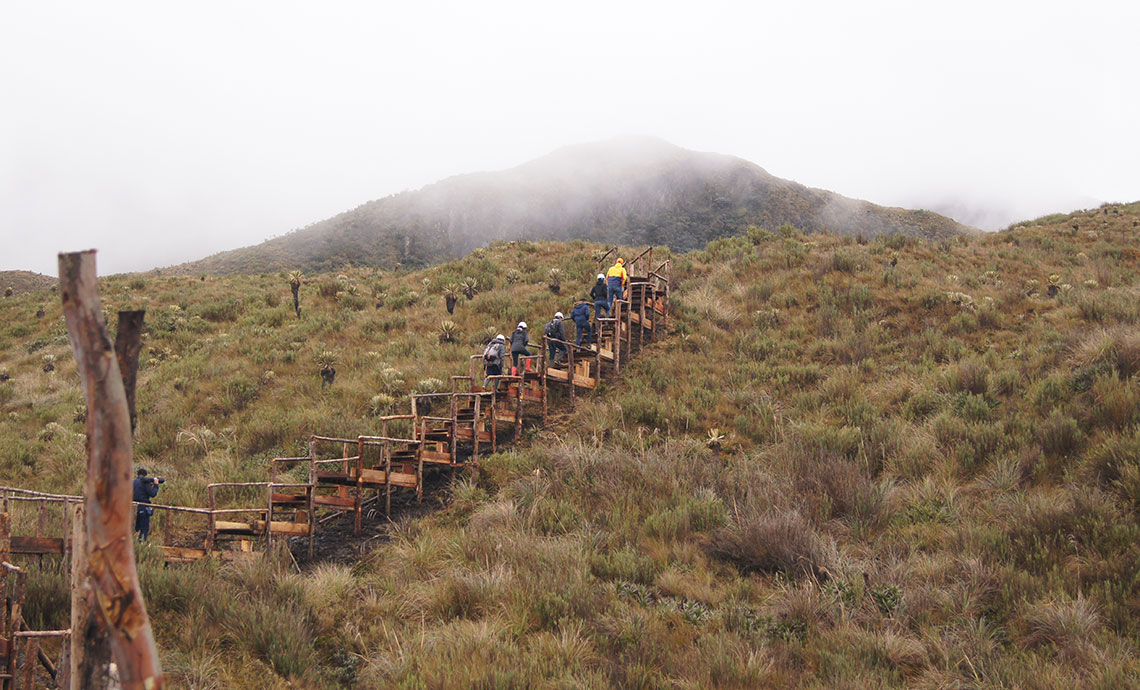 Workers climb steps of the wooden walkway in the páramo.