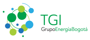 Transportadora de Gas Internacional S.A. ESP Transportadora de Gas Internacional S.A. ESP