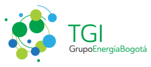 Transportadora de Gas Internacional S.A. ESP Transportadora de Gas Internacional S.A. ESP