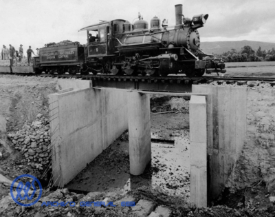 Tren de la sabana Tren de la sabana