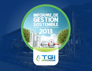 Informe de Gestión Sostenible TGI 2013