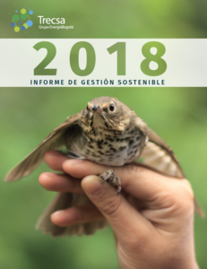 Informe de Gestión Sostenible TRECSA 2018 