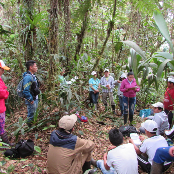 El GEB se unió a las iniciativas comunitarias en pro del oso andino y la danta de montaña apoyando la construcción colectiva de un manual para monitorear estas especies.